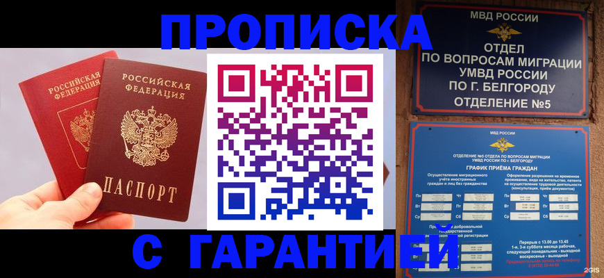 прописка 2025 в Братске